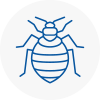 Bed Bug Extermination In Tayport