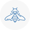 Bee Nest Removal Tayport