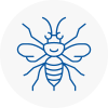 Tayport Hornet Nest Removals