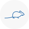 Mice Exterminators In Tayport