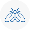 Moth Control Specialists In Tayport
