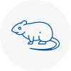 Rat Control Tayport