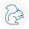 Tayport Rodent Removals